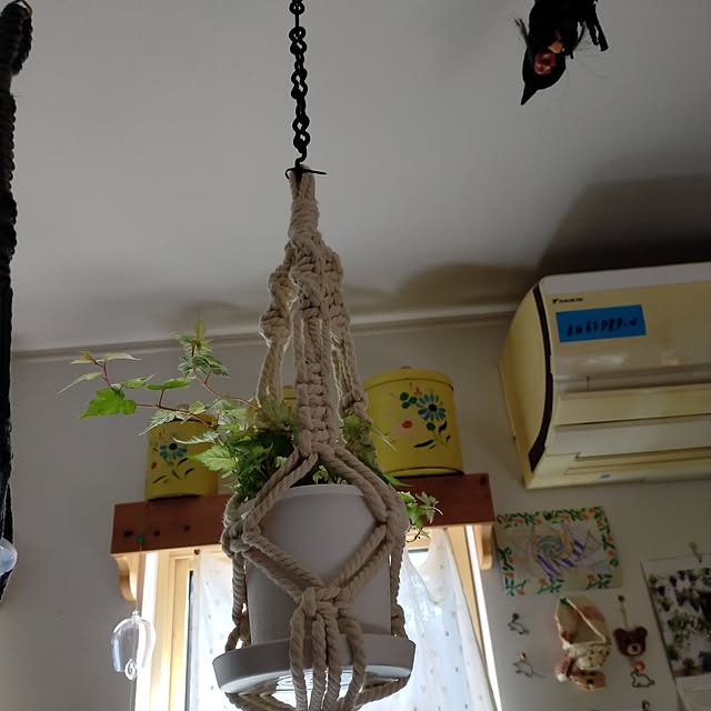 tamachan235さんの実例写真