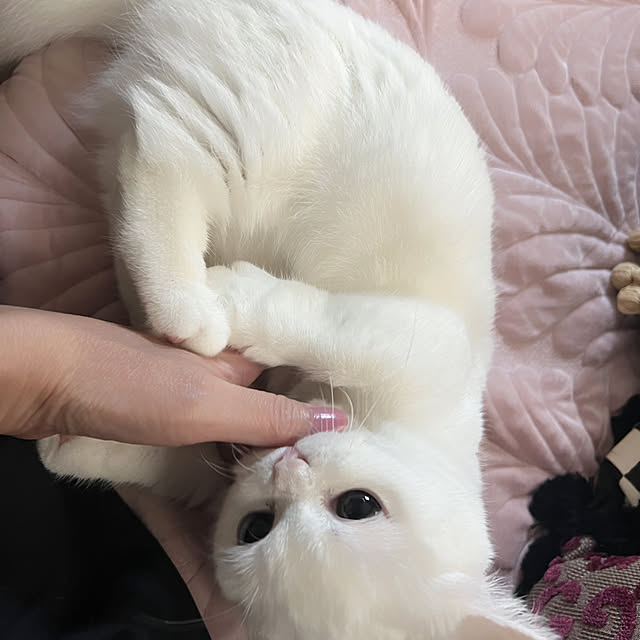 AYUKOさんの部屋