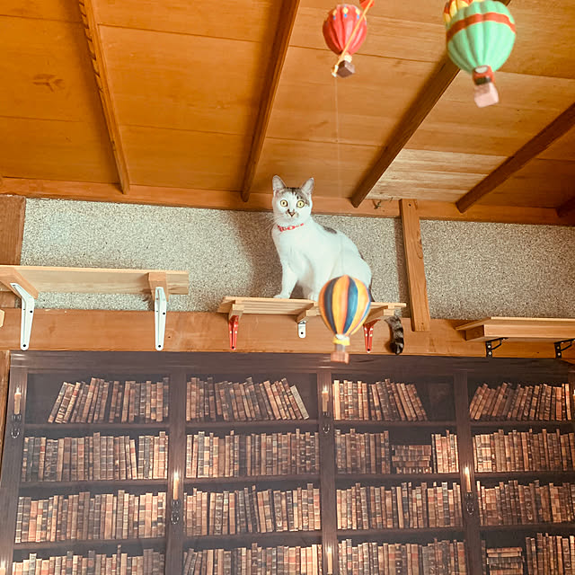 Oreoさんの部屋