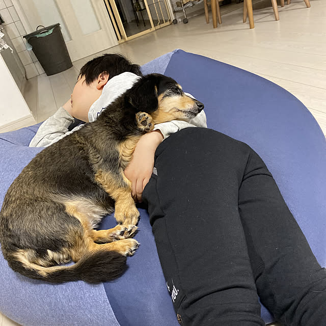 ohanaさんの実例写真