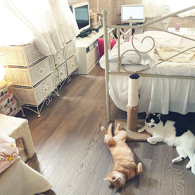 asuminさんの実例写真
