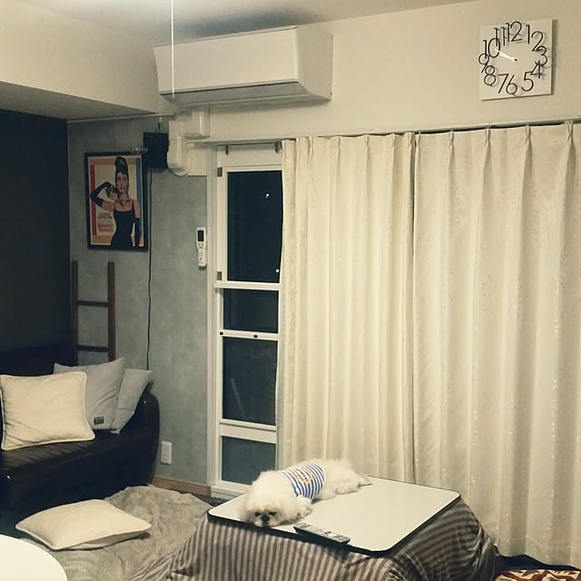 yukagomaさんの実例写真