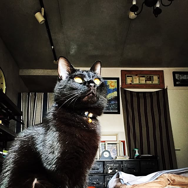 Naoki.さんの実例写真