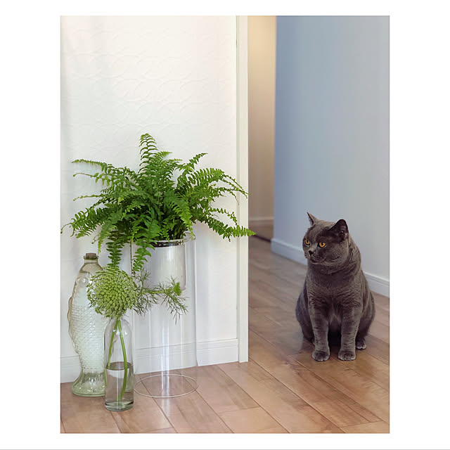 BTGさんの実例写真