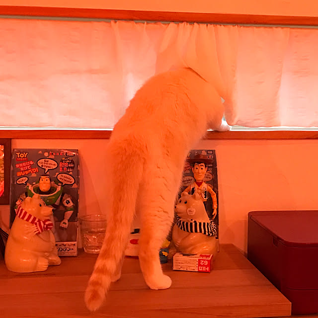 sakurasakuさんの実例写真