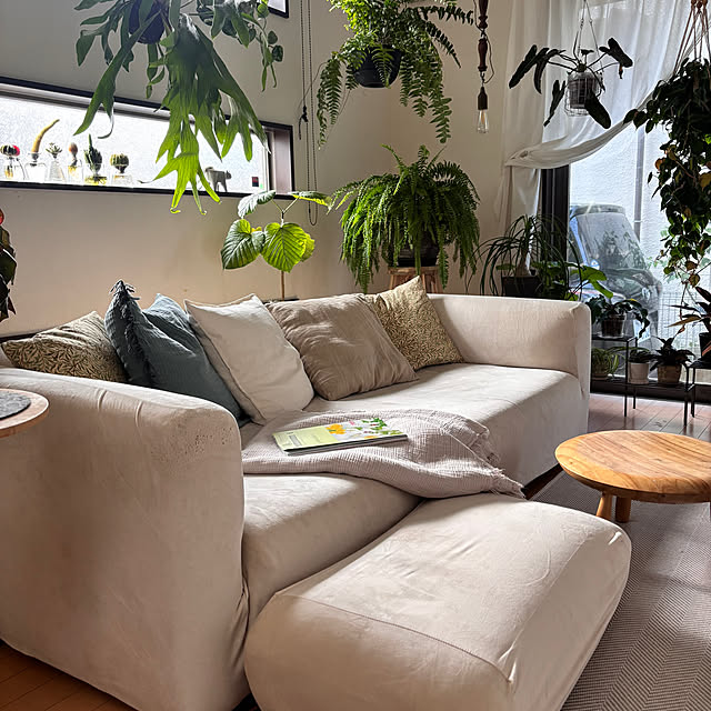 greycatsさんの部屋