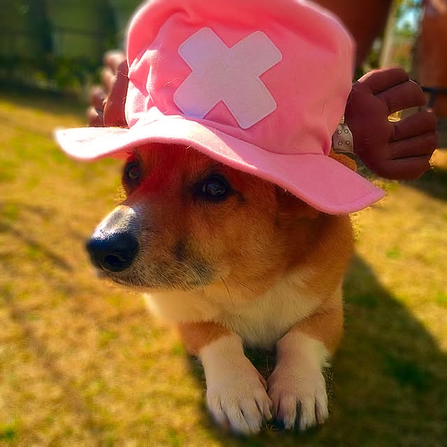 EMIさんの実例写真