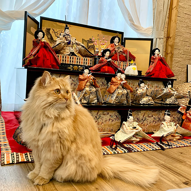 Shokoさんの実例写真