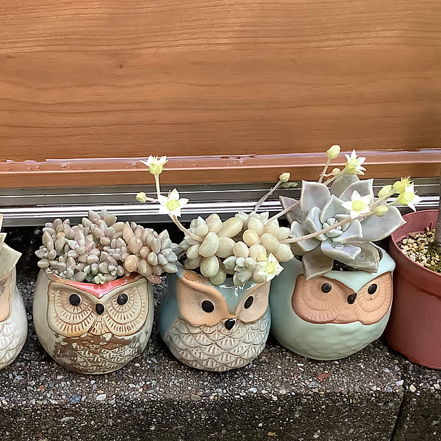 haruminさんの実例写真