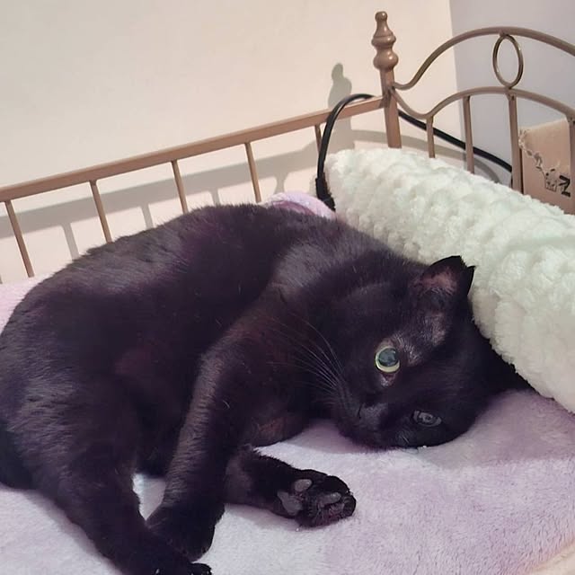 moko.7525himeさんの実例写真