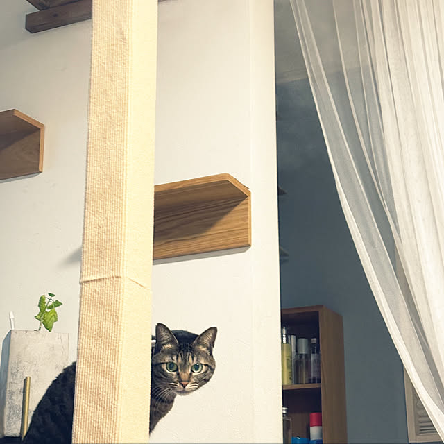 masamasaさんの部屋