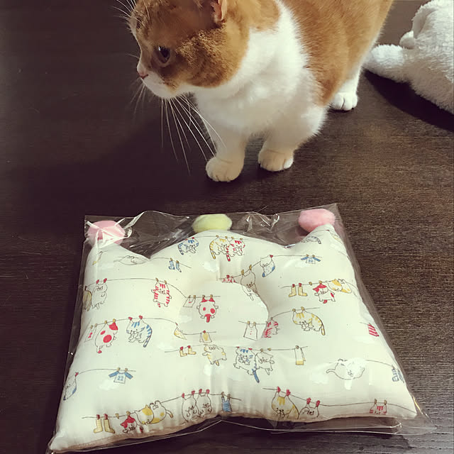 KotarouKunさんの実例写真