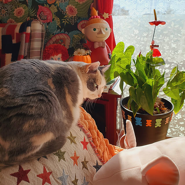 kumutanさんの実例写真