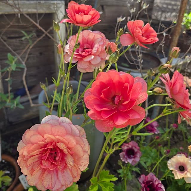 min_nimさんの部屋