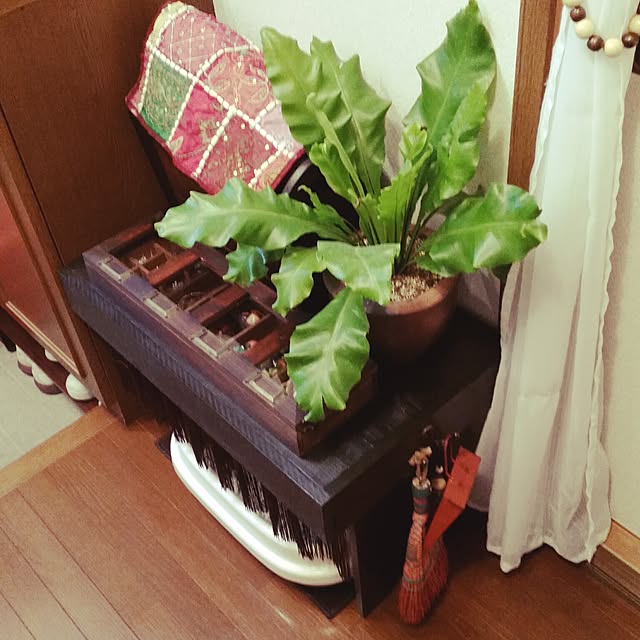 kichiさんの実例写真