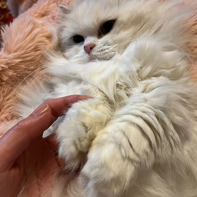 AYUKOさんの部屋