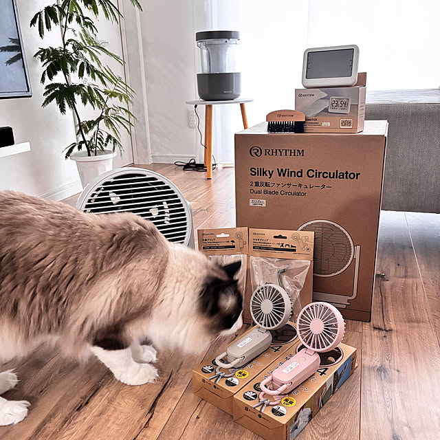 sonsan_famさんの部屋