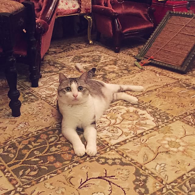 emmyyさんの実例写真