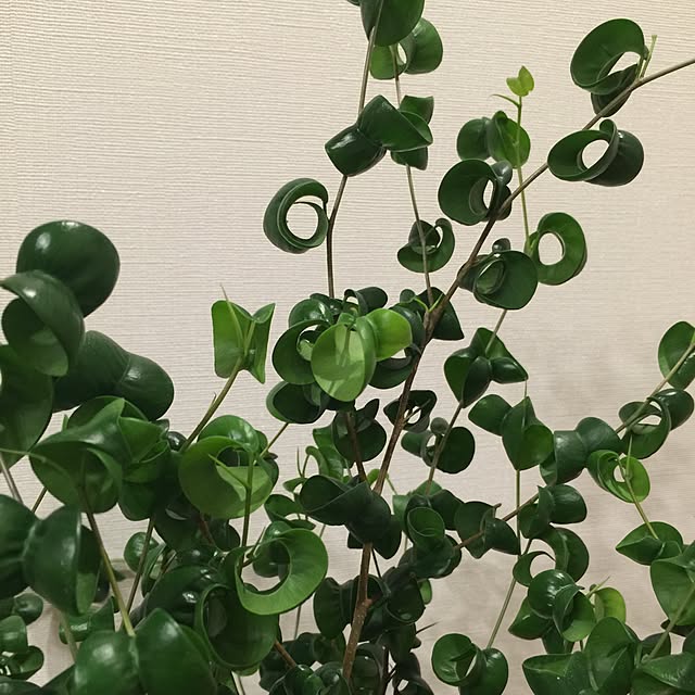 yhkissさんの実例写真