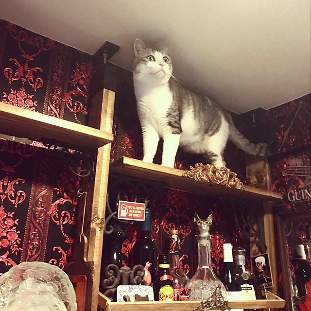 emmyyさんの実例写真