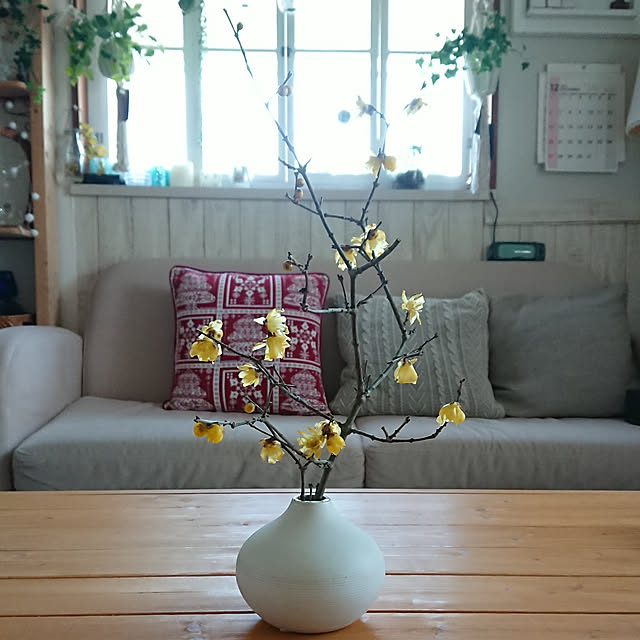naopyiさんの実例写真
