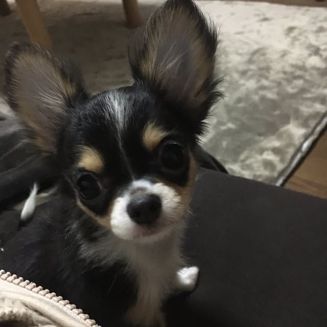 kaorunさんの実例写真