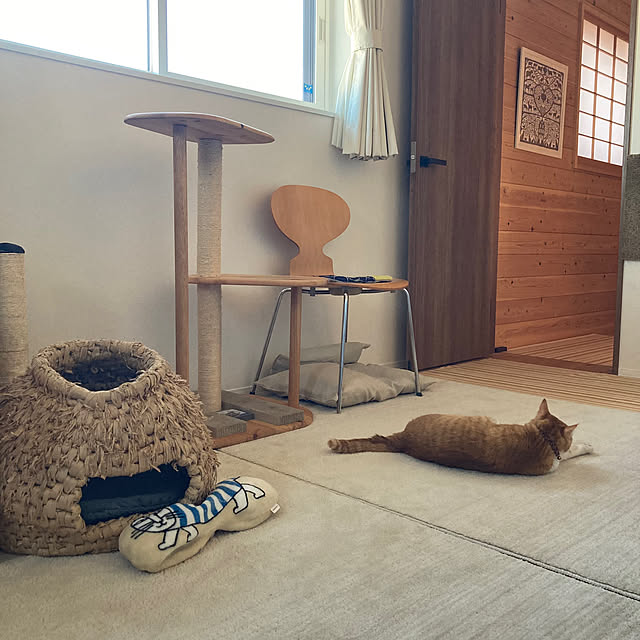 mkmkmoominさんの実例写真