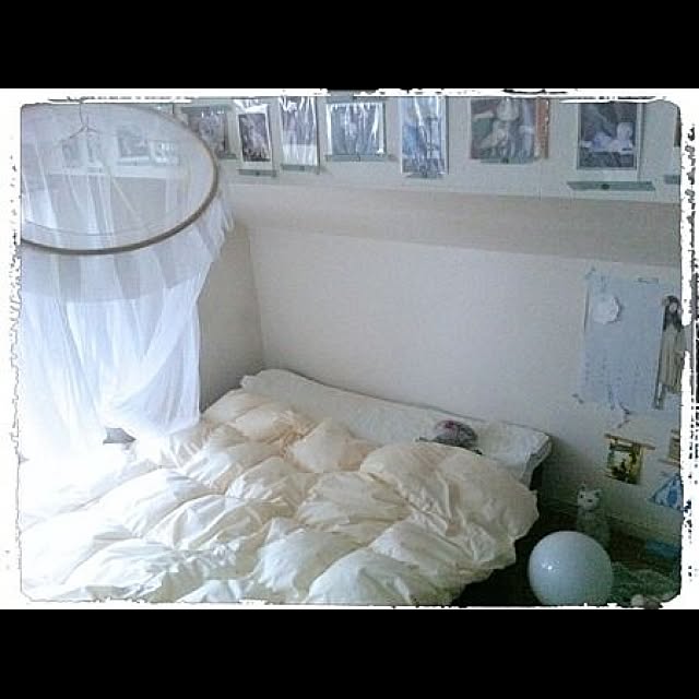 naokirisimaさんの実例写真