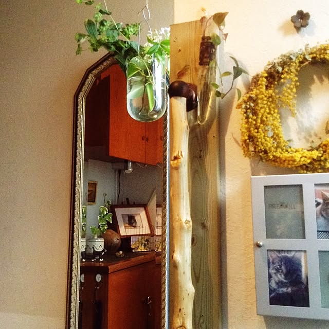 yukkoさんの実例写真
