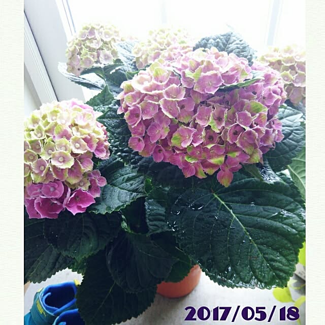 bousuke.215112さんの実例写真