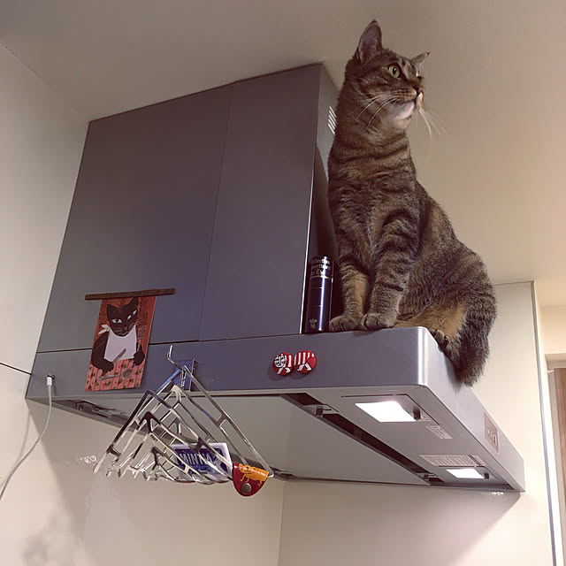 mikomaruさんの実例写真