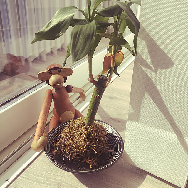 ninさんの実例写真