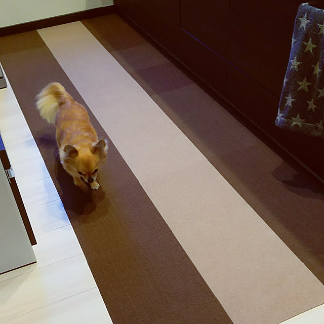 kojikojiさんの実例写真