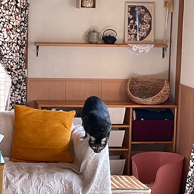 momocchiさんの実例写真
