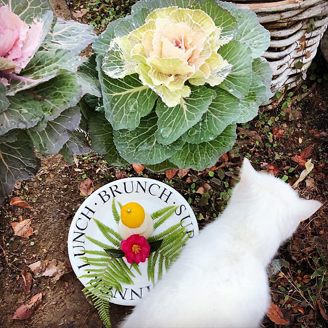weさんの実例写真
