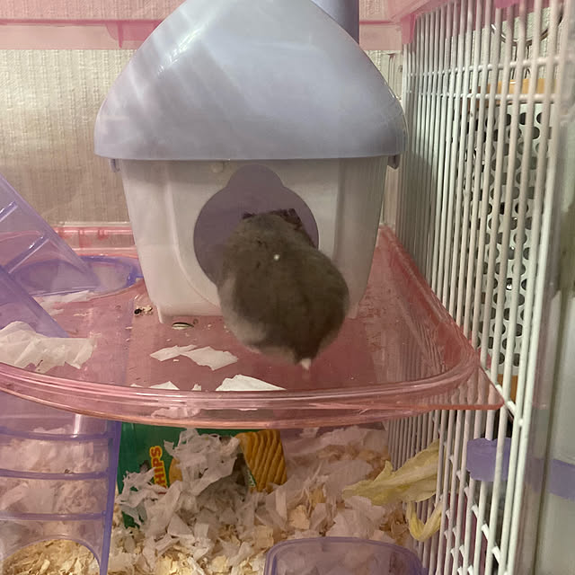 milkさんの実例写真