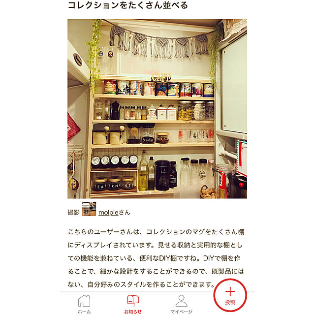 molpieさんの実例写真