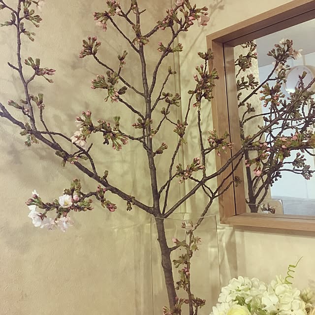 mayu0214さんの実例写真