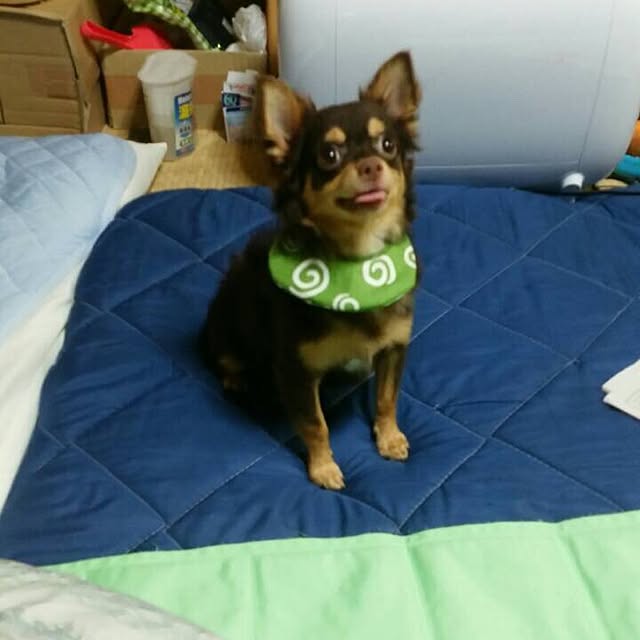 c131さんの実例写真