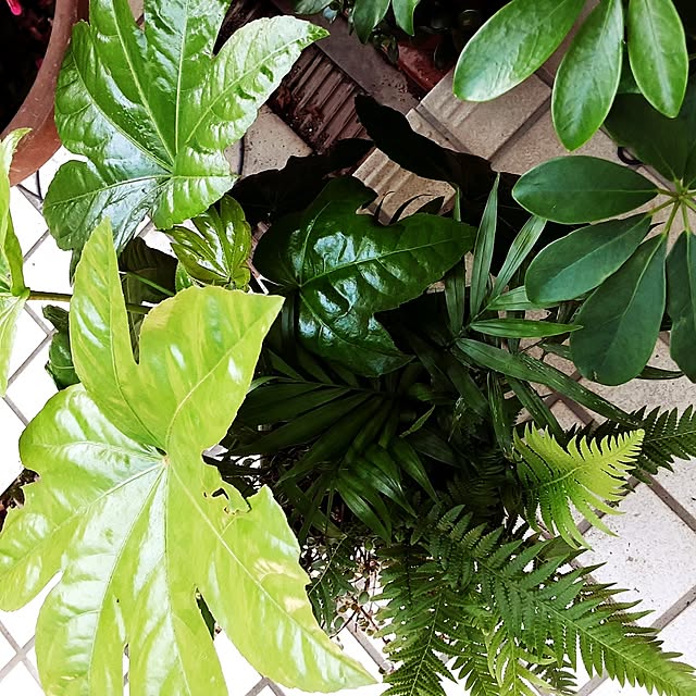katさんの部屋