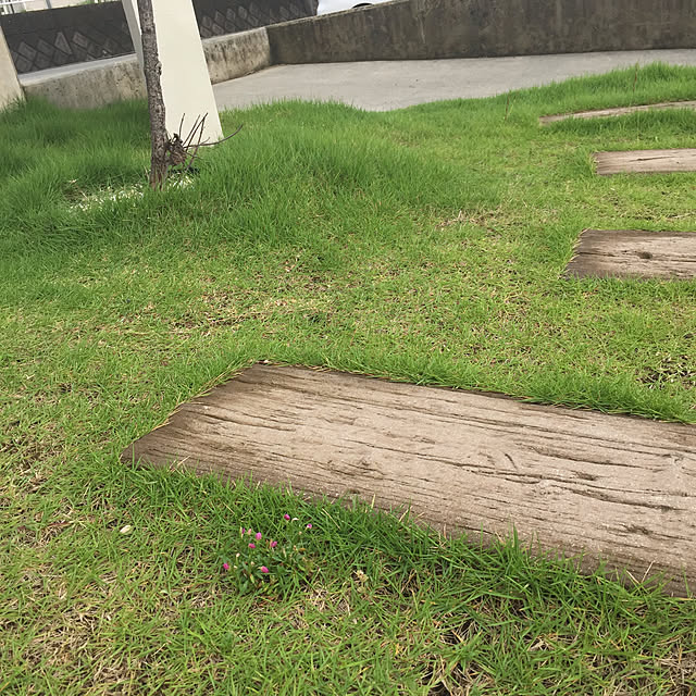 sachimさんの実例写真