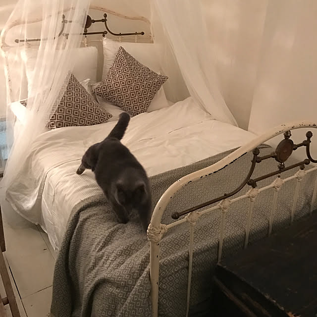 miizer8さんの実例写真