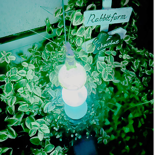 portulacaさんの部屋