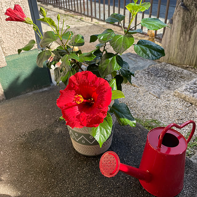 shin0719さんの実例写真