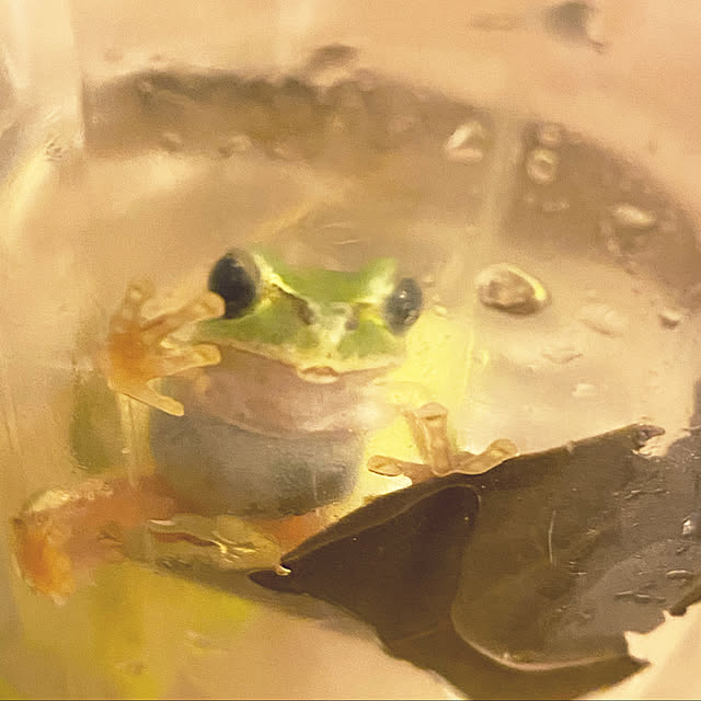 ohanaさんの実例写真