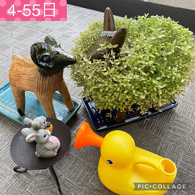 aureaさんの実例写真