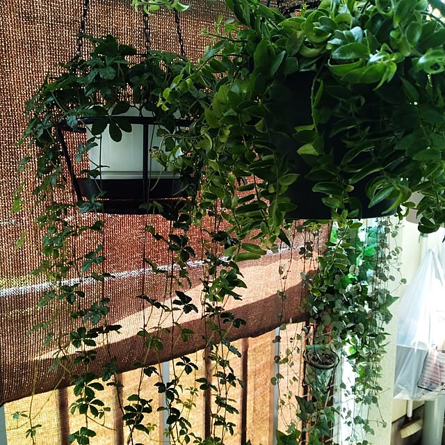runaさんの部屋