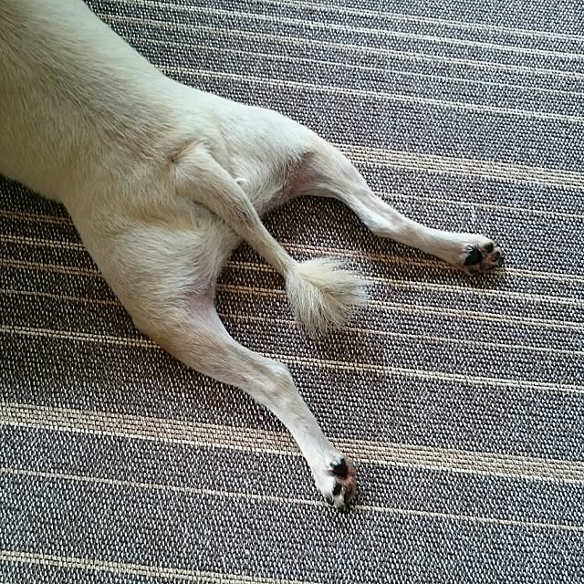 runaさんの実例写真