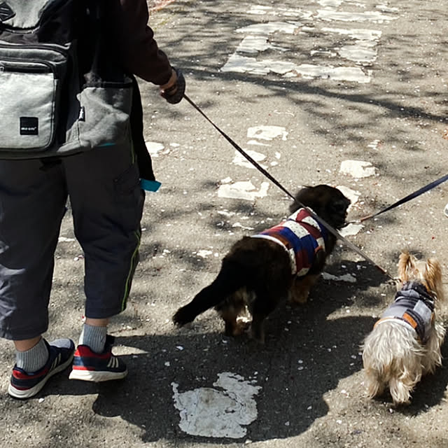 ohanaさんの部屋