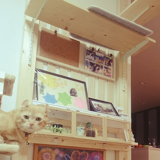 tomoさんの実例写真